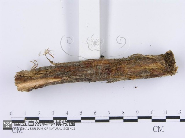 登錄號:F0003008藏品圖，第5張