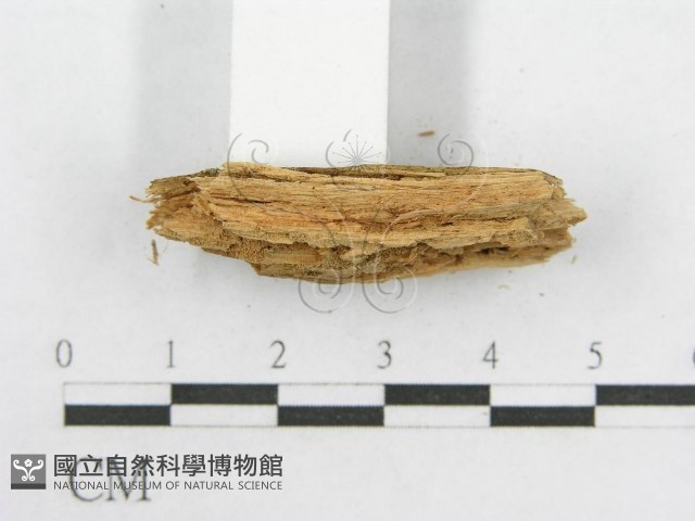 登錄號:F0016618藏品圖，第5張