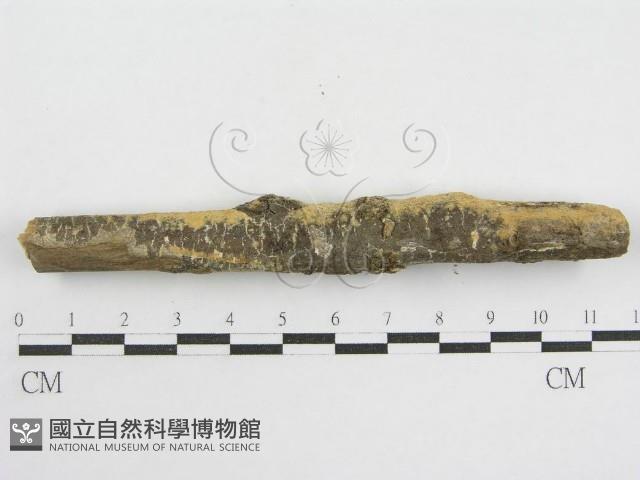 登錄號:F0002518藏品圖，第5張