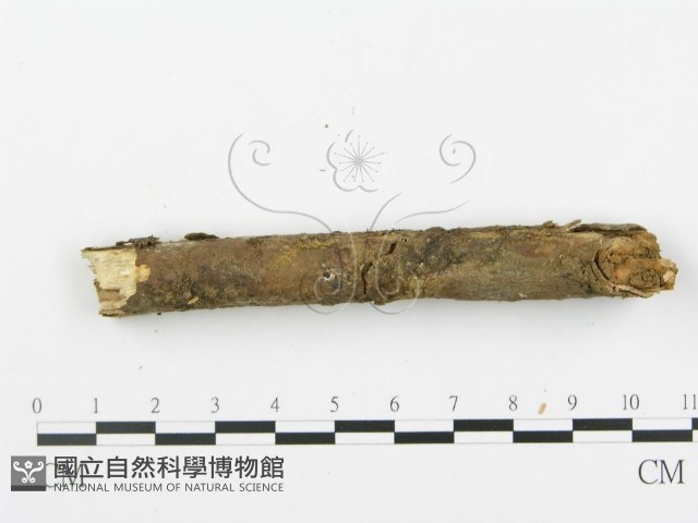 登錄號:F0003118藏品圖，第5張