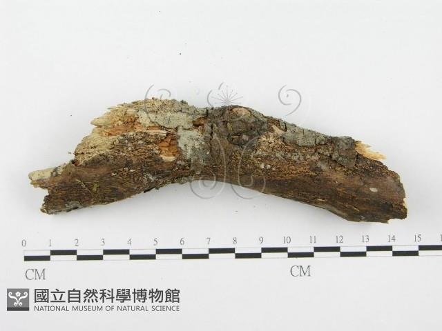 登錄號:F0001358藏品圖，第5張