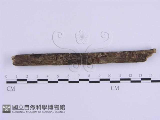 登錄號:F0002948藏品圖，第5張