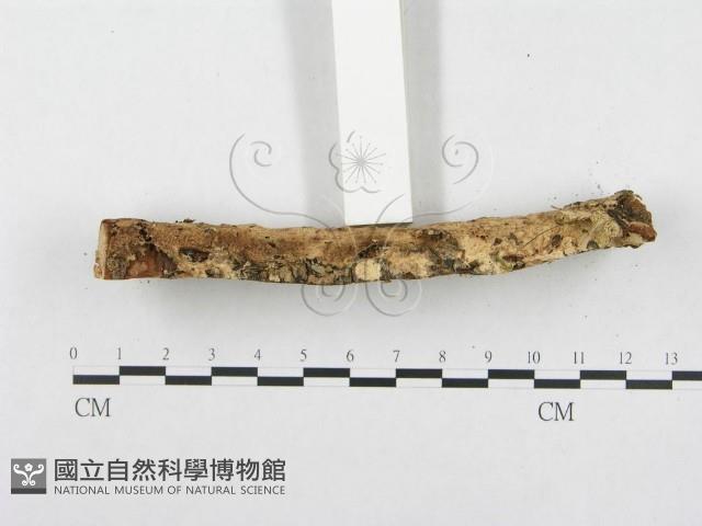 登錄號:F0002738藏品圖，第5張