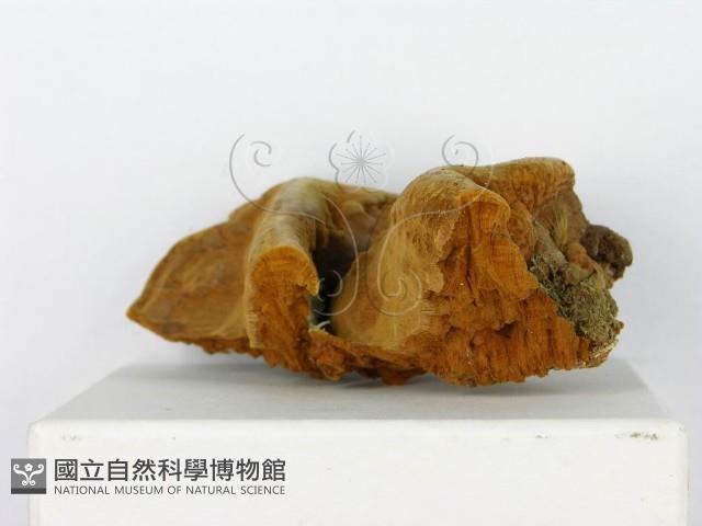 登錄號:F0012578藏品圖，第5張