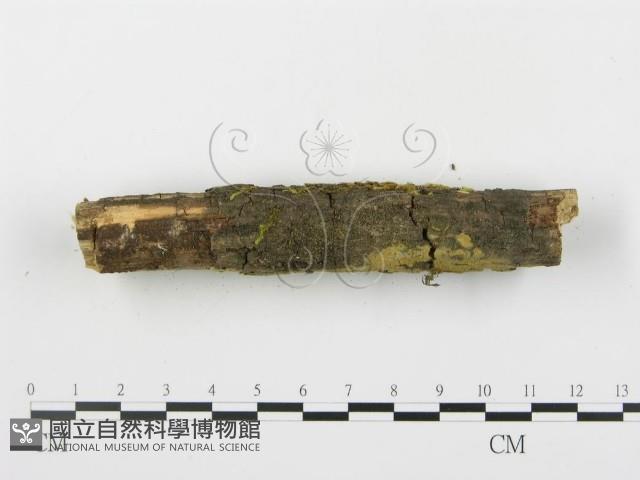 登錄號:F0003920藏品圖，第5張