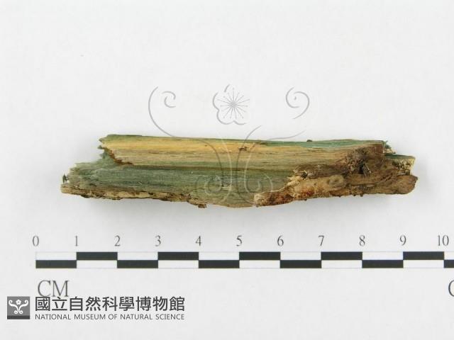 登錄號:F0005910藏品圖，第5張