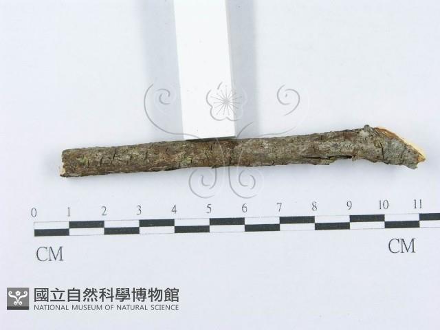 登錄號:F0015710藏品圖，第5張