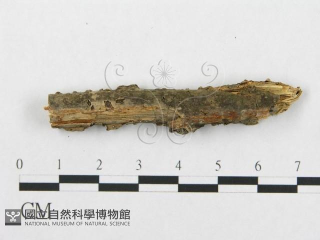 登錄號:F0013550藏品圖，第5張