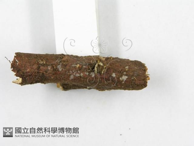 登錄號:F0002350藏品圖，第5張