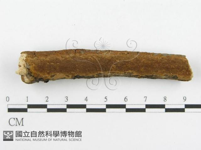 登錄號:F0017230藏品圖，第6張