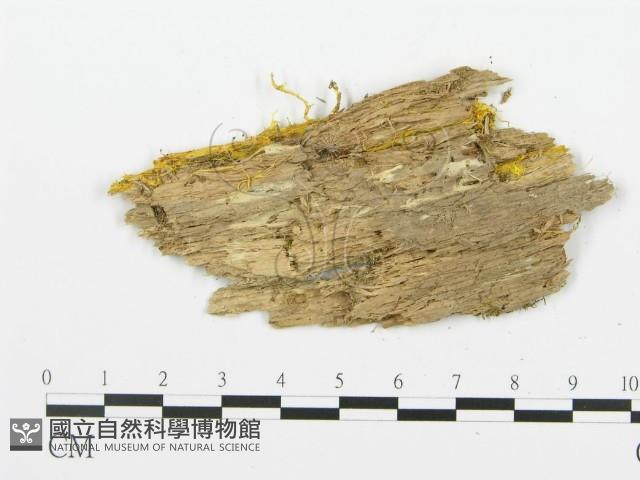 登錄號:F0017326藏品圖，第5張