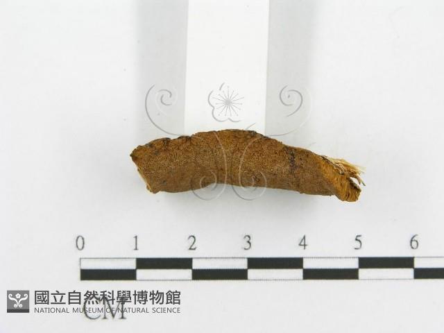 登錄號:F0014116藏品圖，第5張