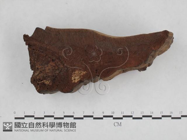 登錄號:F0018856藏品圖，第5張