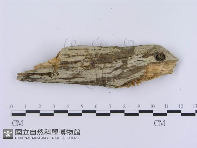 登錄號:F0003946藏品圖，第5張