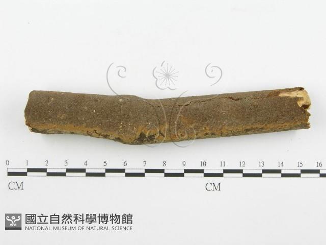 登錄號:F0001546藏品圖，第5張