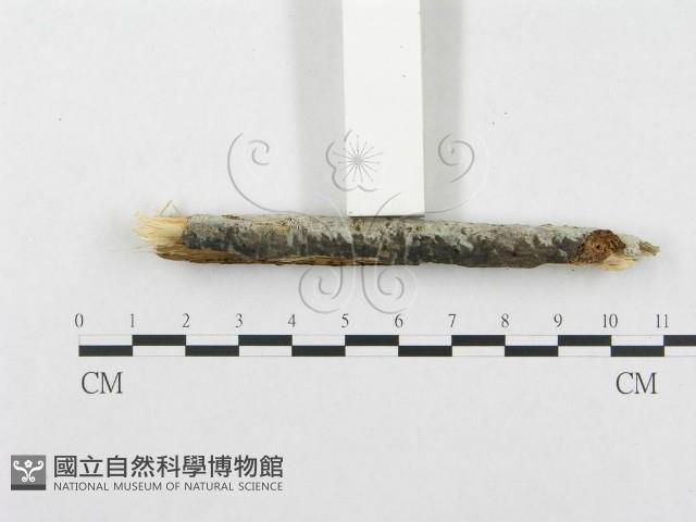 登錄號:F0015346藏品圖，第5張