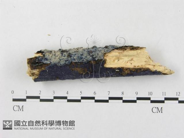 登錄號:F0018721藏品圖，第5張