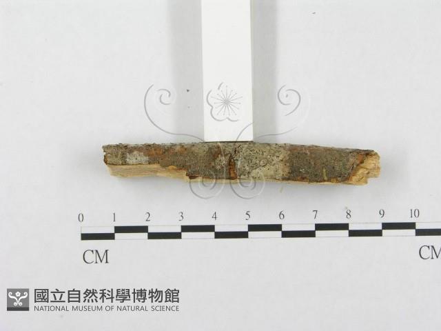 登錄號:F0001201藏品圖，第5張