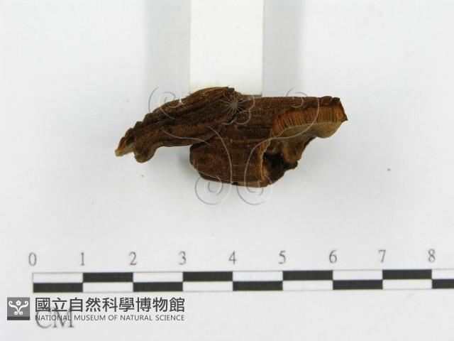 登錄號:F0002211藏品圖，第5張