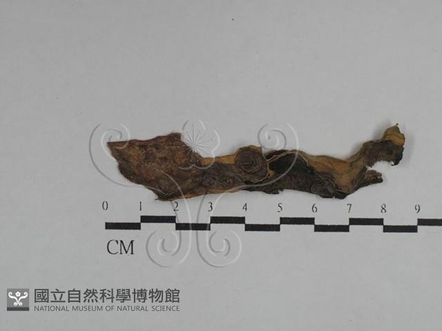 登錄號:F0029751藏品圖，第5張
