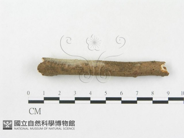 登錄號:F0009341藏品圖，第5張