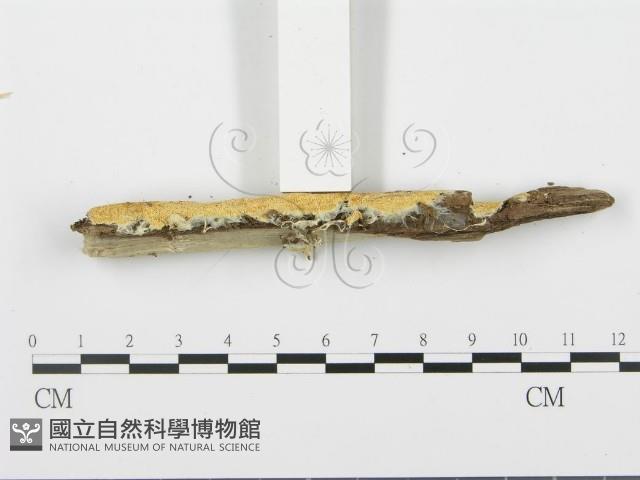 登錄號:F0006671藏品圖，第5張