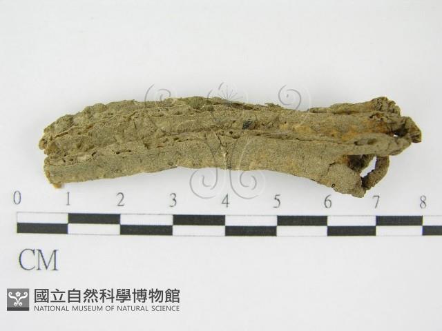 登錄號:F0016171藏品圖，第5張