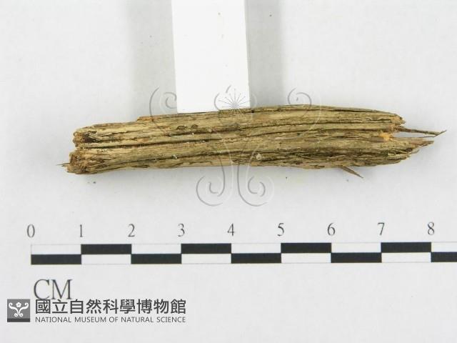 登錄號:F0003214藏品圖，第5張