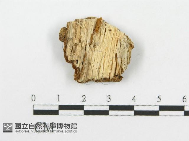 登錄號:F0017454藏品圖，第1張