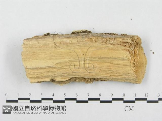 登錄號:F0000934藏品圖，第6張