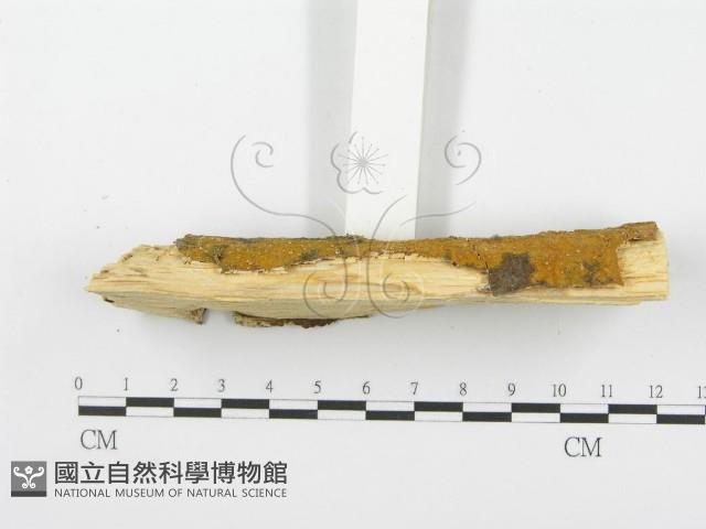 登錄號:F0001374藏品圖，第5張
