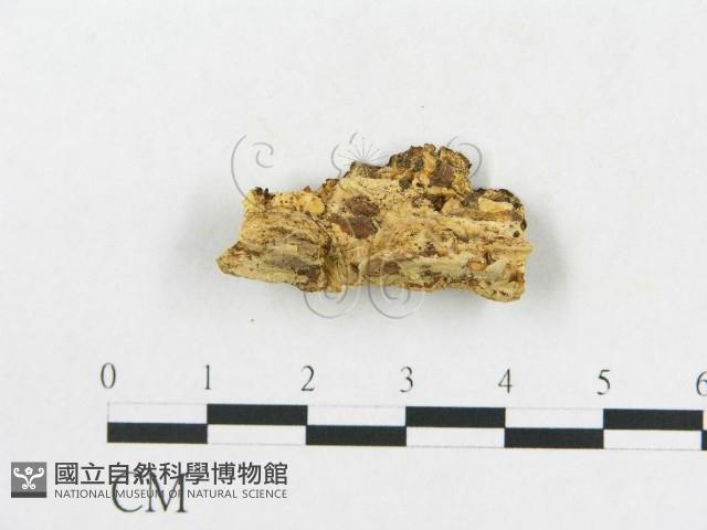 登錄號:F0019922藏品圖，第5張