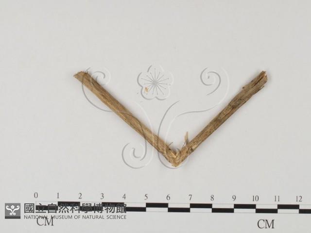 登錄號:F0023302藏品圖，第5張