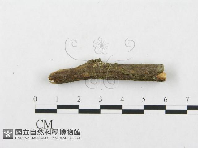 登錄號:F0001112藏品圖，第5張