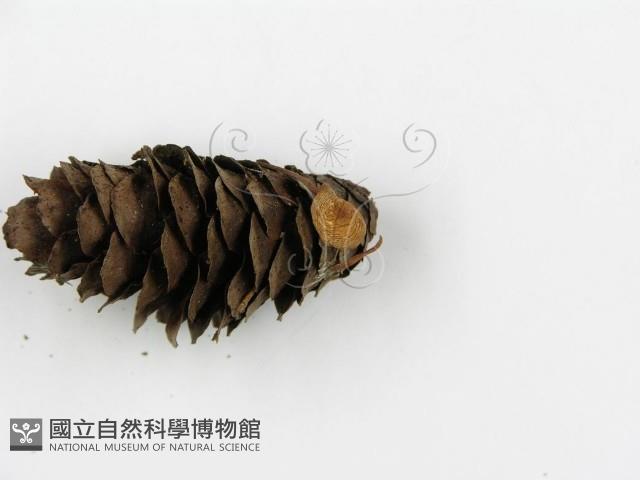 登錄號:F0001752藏品圖，第5張