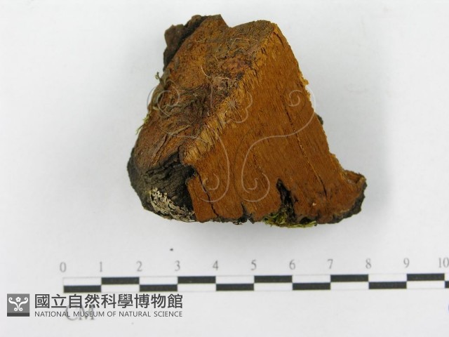 登錄號:F0014152藏品圖，第5張
