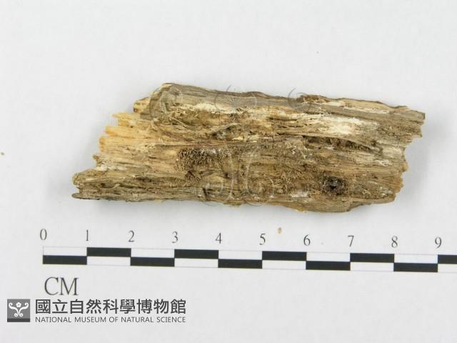登錄號:F0019932藏品圖，第5張