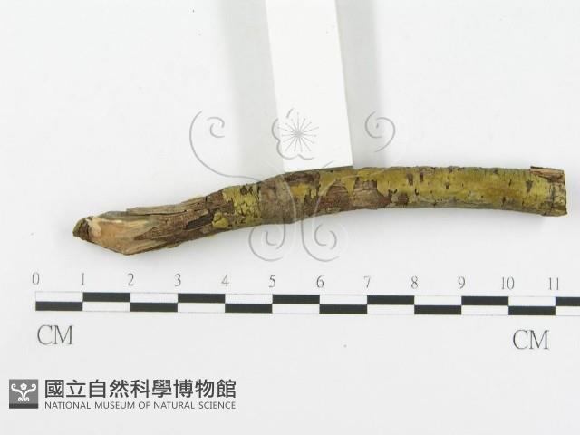 登錄號:F0001872藏品圖，第5張