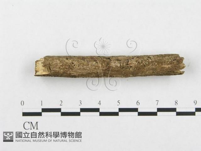 登錄號:F0001227藏品圖，第5張