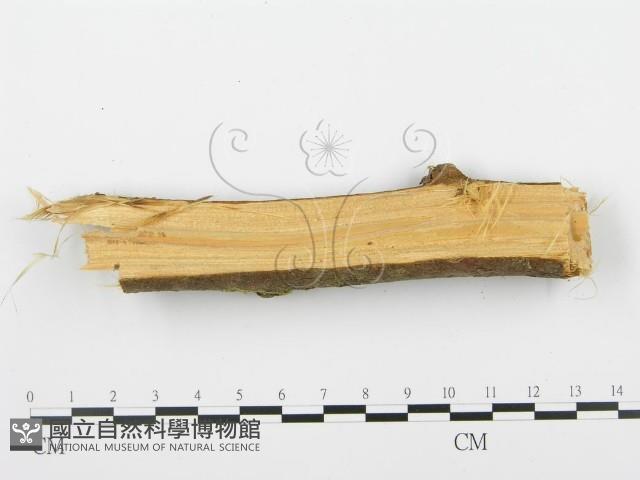 登錄號:F0001937藏品圖，第5張