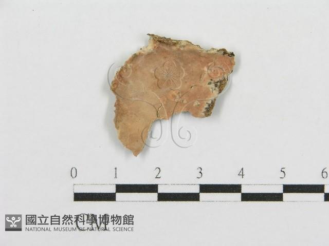 登錄號:F0009777藏品圖，第5張