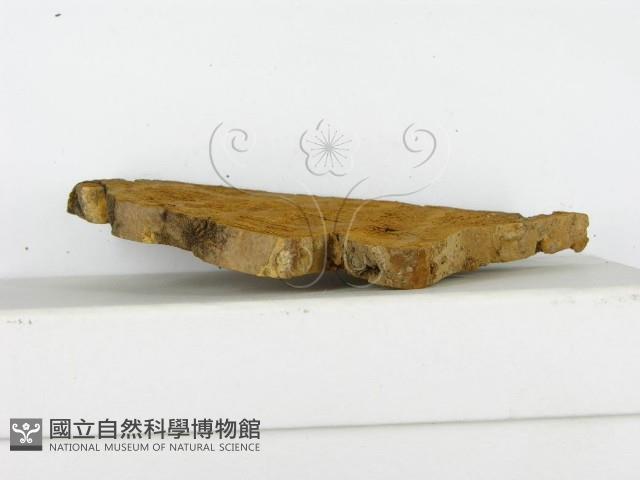 登錄號:F0004625藏品圖，第5張