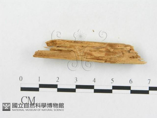 登錄號:F0016725藏品圖，第5張