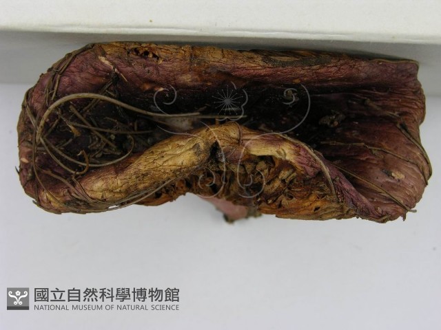 登錄號:F0003755藏品圖，第5張