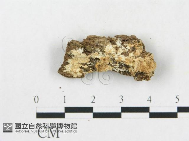 登錄號:F0017245藏品圖，第5張