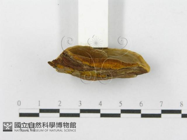 登錄號:F0010875藏品圖，第5張