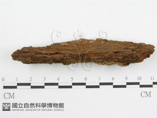 登錄號:F0000959藏品圖，第5張