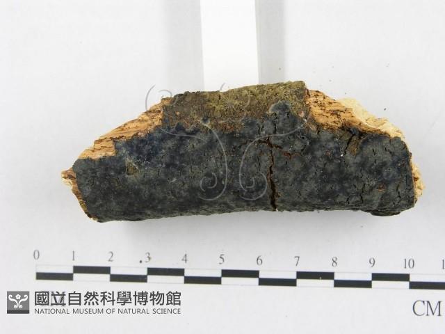 登錄號:F0020059藏品圖，第5張