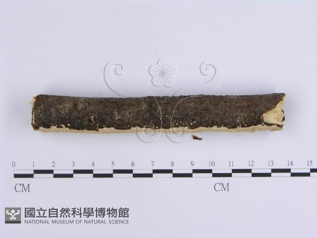 登錄號:F0001649藏品圖，第5張