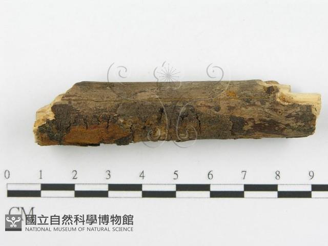 登錄號:F0001739藏品圖，第5張